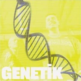 Jackal – Genetik ft Sterlin Mp3 Dinle & İndir | Mp3sayar