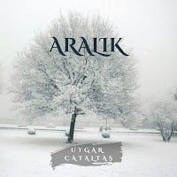 Uygar Çataltaş – Aralık Mp3 Dinle & İndir | Mp3sayar