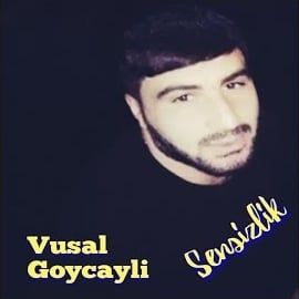 Vüsal Göyçaylı – Sensizlik Mp3 Dinle & İndir | Mp3sayar