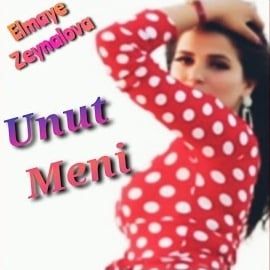 Elmaye Zeynalova – Unut Meni Mp3 Dinle & İndir | Mp3sayar